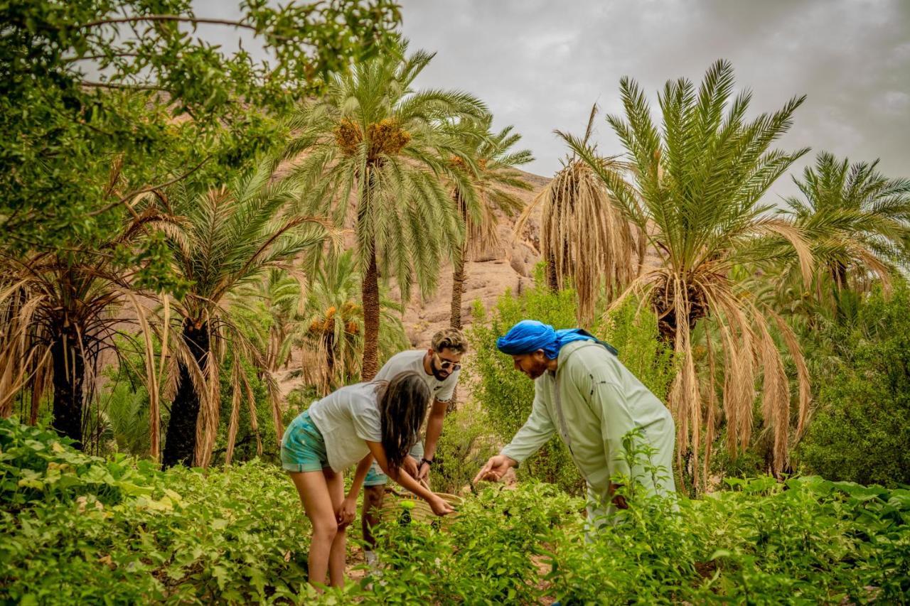 Ouednoujoum Ecolodge & Spa Ouarzazate Buitenkant foto