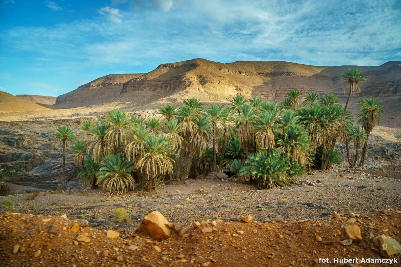 Ouednoujoum Ecolodge & Spa Ouarzazate Buitenkant foto